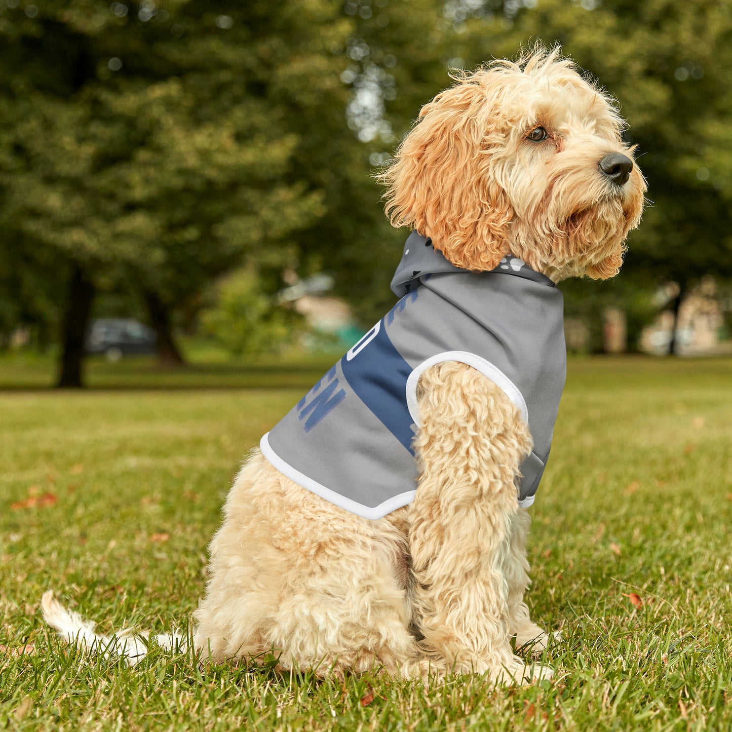 Live Free Sled Often Pet Hoodie