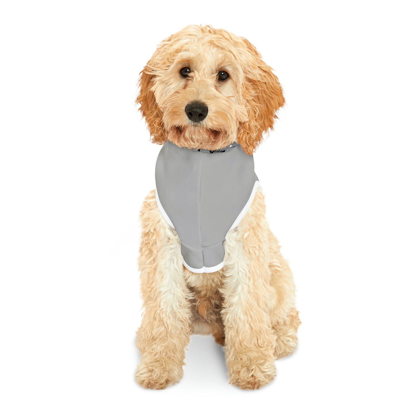 Live Free Sled Often Pet Hoodie