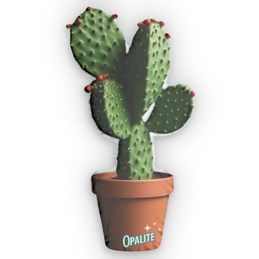 Cactus Pillow Pet