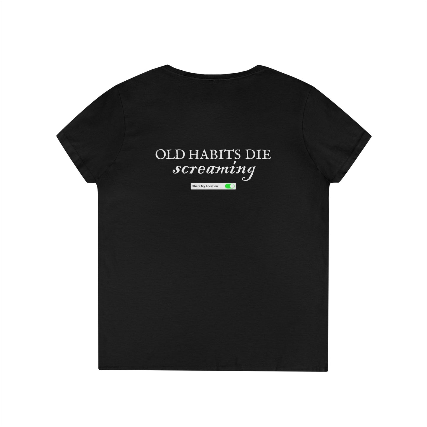 Ladies' V-Neck T-Shirt